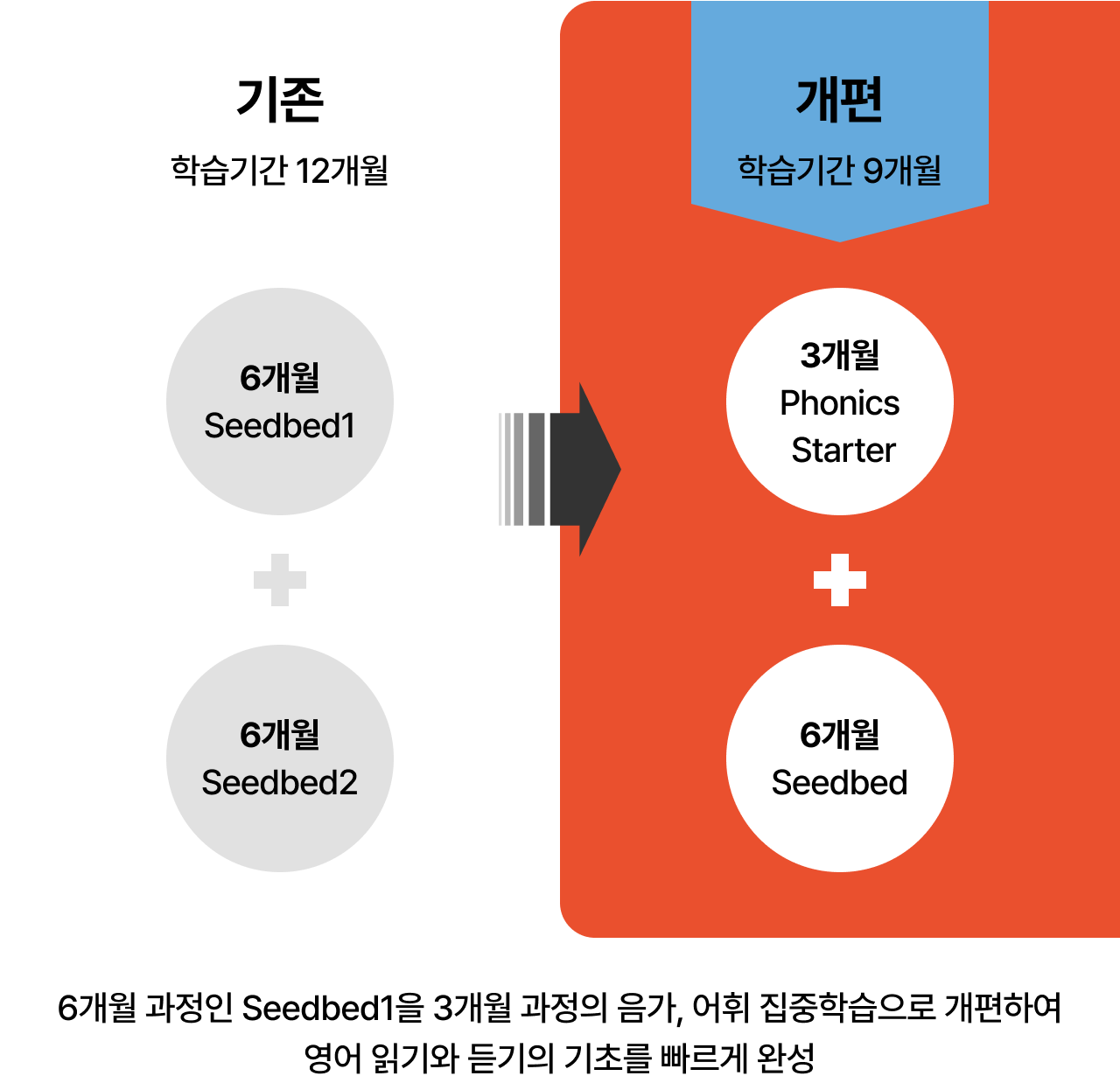 6개월 과정인 Seedbed1을 3개월 과정의 음가, 어휘 집중학습으로 개편하여 영어 읽기와 듣기의 기초를 빠르게 완성